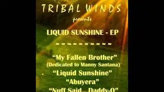 Antonio Ocasio - Liquid Sunshine