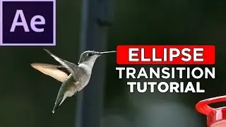After Effects Tutorial : Ellipse Transition Effect Tutorial