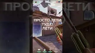 Расцвет всё сам сделает - Valorant 