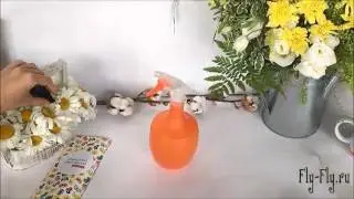 Как кормить бабочек и ухаживать за ними
