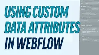 Webflow Attributes | Give Your Webflow Custom Code Another Layer Of Protection With Data Attributes