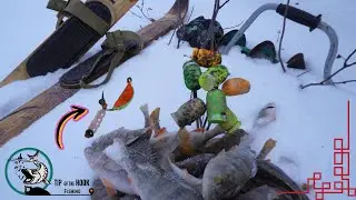 🐠 Trying Out Our New Winter Lure 🎣
