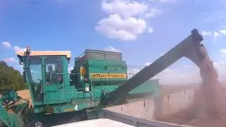Уборка зерновых 2019 Украина/ Wheat Harvesting 2К19 Ukraine