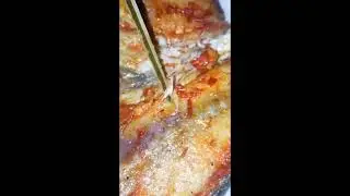 BELATUNG VIRAL TIKTOK