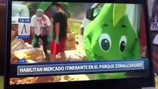 PALTA EMOCIONADA (video original) 🥑