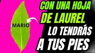 CON UNA HOJA DE LAUREL LO TENDRÁS A TUS PIES