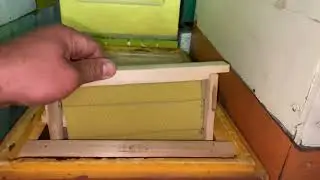 Cum păstrăm ramele după extracție …