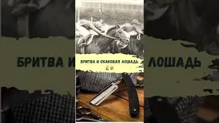 Скаковая лошадь и Опасная бритва
