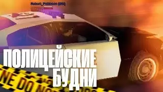 ПОЛИЦЕЙСКИЕ БУДНИ В GTA SAMP #1 | TRINITY RP