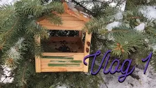 Vlog 1: Пары, Парк, Мастер-класс по композиции в фотографии