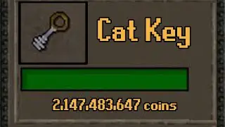 THESE NEW KEYS MADE ME RICH! (RSPS 