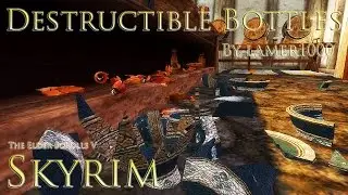 DESTRUCTIBLE BOTTLES (Epic Mods #2)
