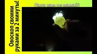 Как сделать овоскоп своими руками! Как узнать оплод?  Папа вам не мама