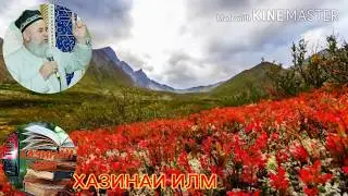 ХОЧИ МИРЗО дар боби занхо!!!