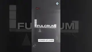 working of lever ⚓