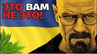 Ох уж эти химики! Бумага из камня и листьев!