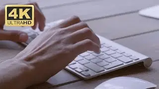 Office Stock Footage Free - Hands Typing On Keyboard | Free Stock Footage 4K