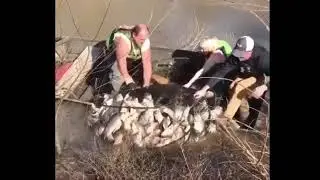 юмор дня