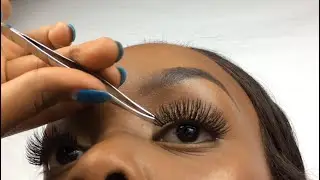 HOW TO: Apply False Eyelashes for Beginners