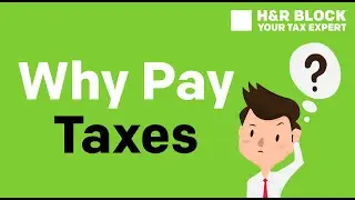 Why Should We Pay Tax?
