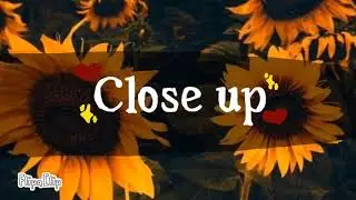 🌻Close up🌻