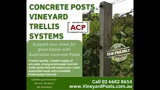 ACP Vineyard Posts - Concrete Posts Vineyard Trellis Systems