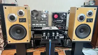 Technics SB-411 & Tube Amplifier | Instrumental Music
