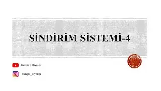 11.Sınıf Sindirim Sistemi -4 ( Besinlerin Kimyasal Sindirimi ve Emilimi)