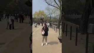 Gyeongbokgung Palace - Gyeonghoeru Pavilion (Part 3/4)