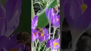 Весна.