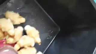 Это они так воды попили