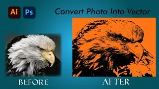 How to Convert Photo into Vector using Illustrator & Photoshop | Illustrator & Photoshop tutorial