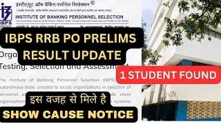 IBPS RRB PO 2024 Show Cause Notice Person Found ||  IBPS RRB PO 2024 RESULT UPDATE || #rrbpo2024