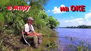 РЫБАЛКА на "СТУК".  КУКУРУЗА ВЫРУЧАЕТ. Ловлю на ОКЕ в жару.