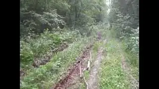 эвакуация нивы