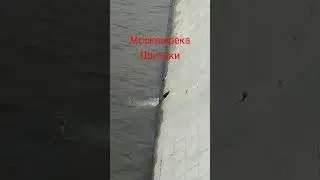 Москва река, притоки. Москва значит мокрая