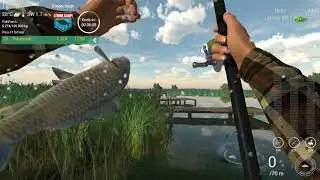 Fishing Planet : C'mon Carp Partly Cloudy