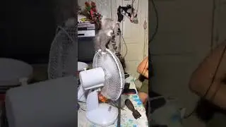Потрясающе. Здесь прекрасно все!