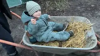 У нього на все одна відповідь 😀