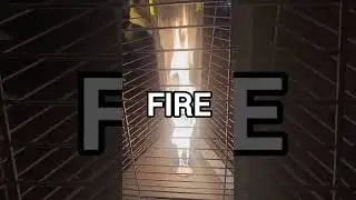 🔴FIRE       #tiktok #shortsvideo #shortsfeed #doityourself #face #amazing #chinese #cat #china #fire