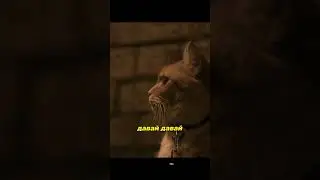 Кот Боб спас человеку жизнь🐱 