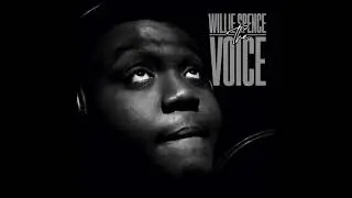 Willie Spence - So Gone (Official Audio)