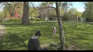 Surreal Hours Short