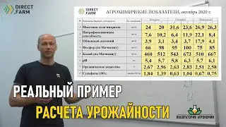 Calculation of yield using a real experiment as an example