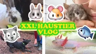 Ein Tag mit meinen HAUSTIEREN 🐰🐹🐺🐶🐟 XXL Vlog 🎬 Hamster, Kaninchen, Hunde, Aquarium, Axolotl & Co🐾🎬