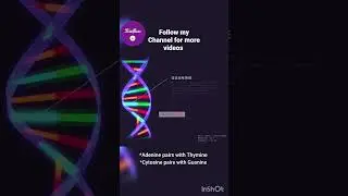 DNA Structure/ Genetics, Genome/ Molecular biology/ NEET science/ Biology/ Nucleic acids