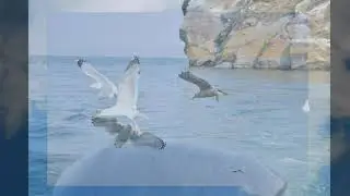 На Малом Море Байкала