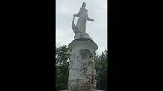 Сочи, Дендрарий, 2023 год- быстрая видео- прогулка#дендрарий#сочи