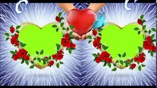 Green screen background flower animation effects video