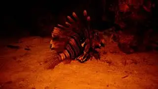 Hurghada Abu Ramada